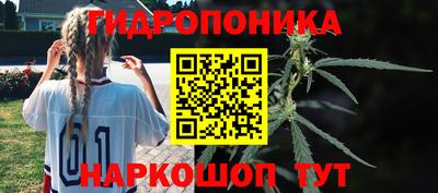 соль ск Моздок