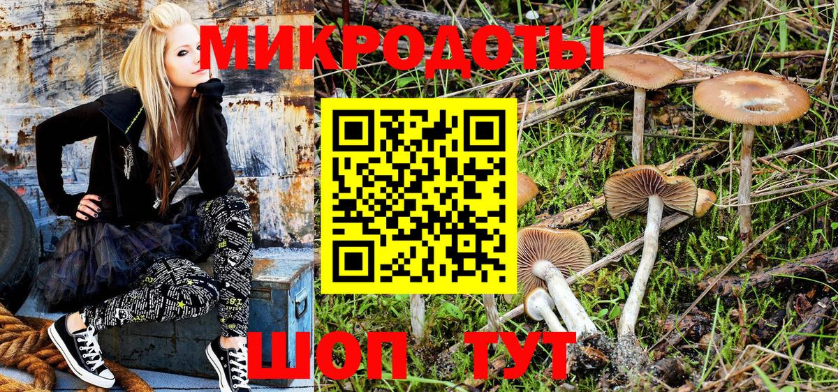 Волгоград  Псилоцибиновые грибы GOLDEN TEACHER  Псилоцибиновые грибы MAGIC MUSHROOMS  Вход с VPN 