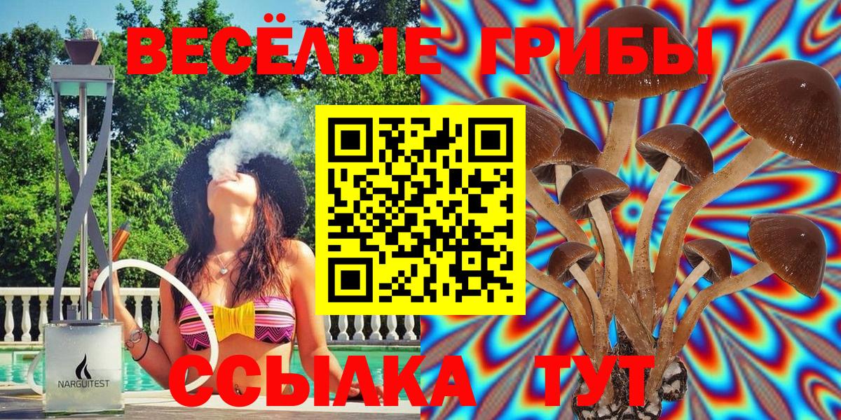 Псилоцибиновые грибы GOLDEN TEACHER Волгоград